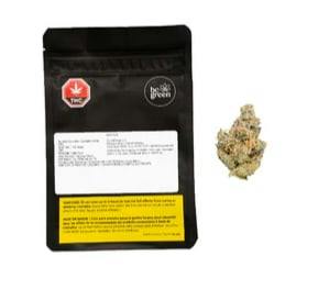 Garlic Haze 7G