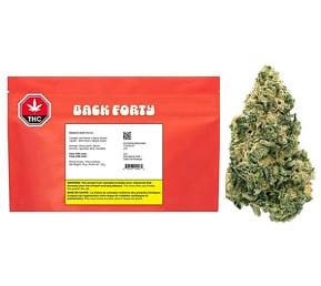 Galactic Jack 28G