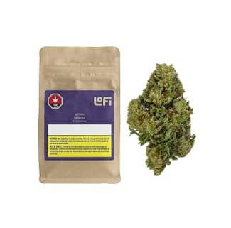 Nostalgia Infused Craft Hemp 7G
