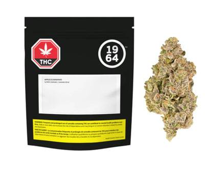 Apples & Bananas 7G