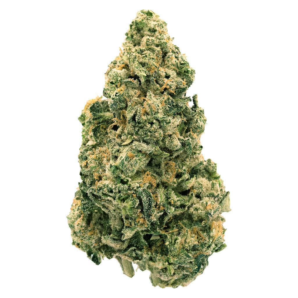 Galactic Jack 7G