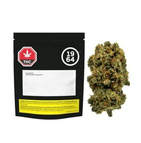 Blue Dream 1964 28G