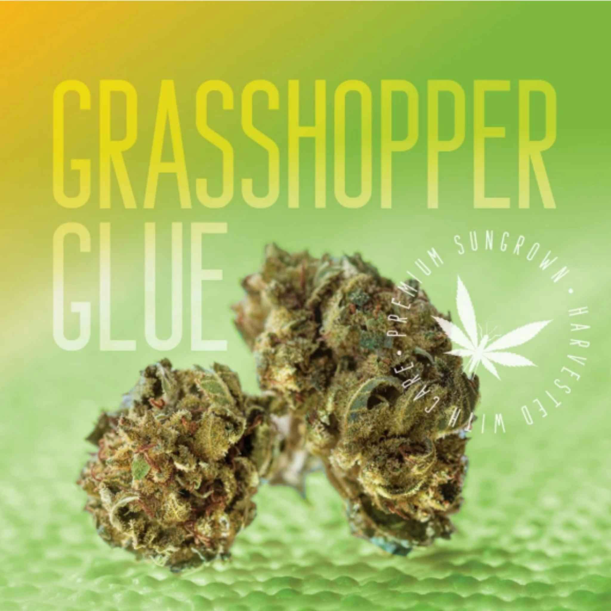 Grasshopper Farms Grasshopper Glue cannabis product