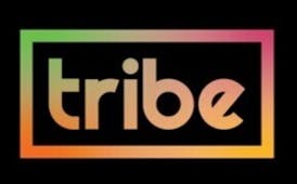 Tribe-Live Sugar 1g-Garlic Budder (IH)