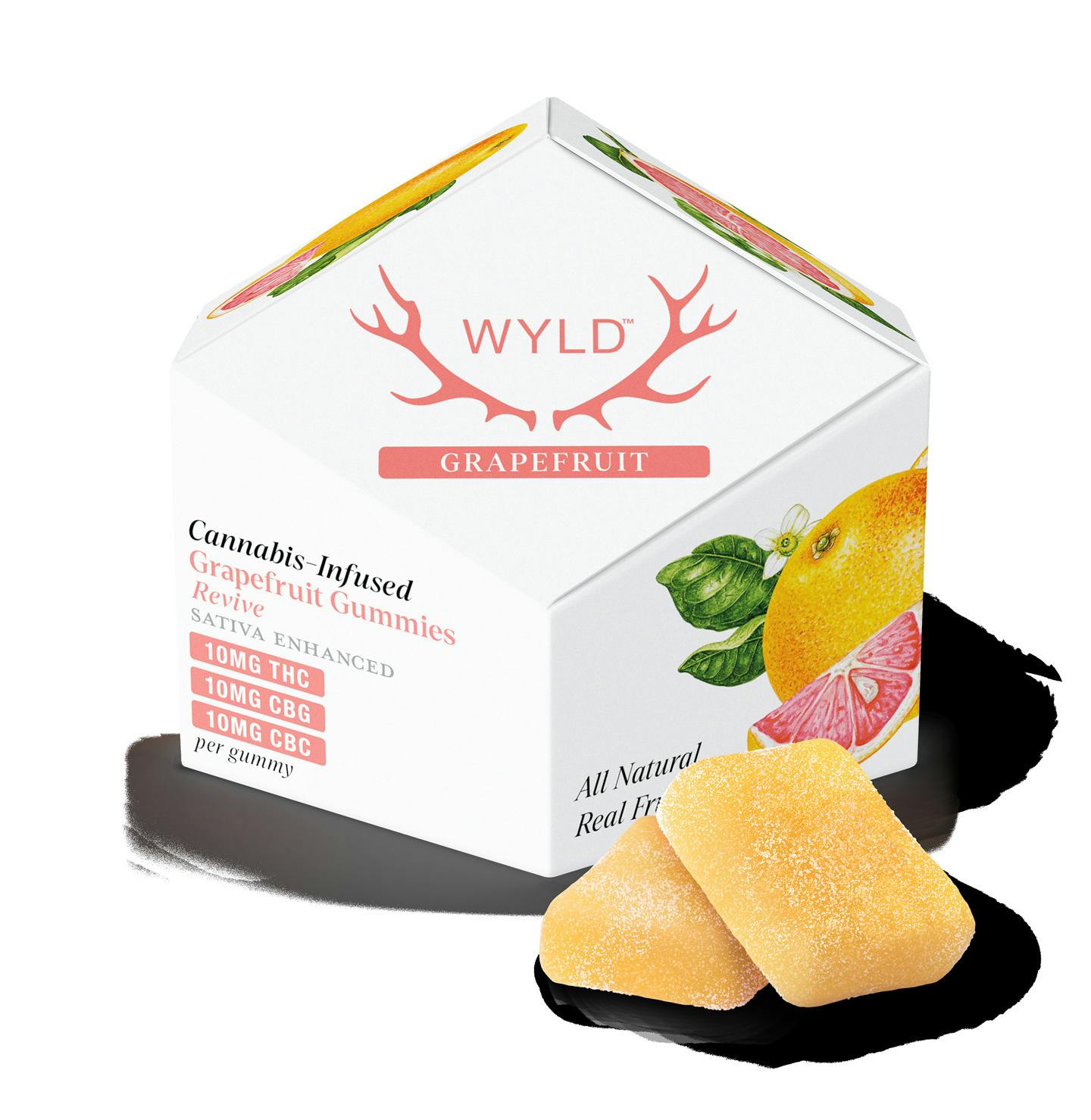 Wyld Gummies 100mg - 1:1:1 - Boysenberry (I)