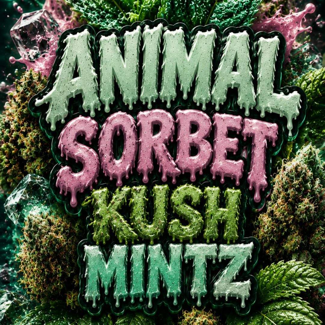 High Society - Smalls - Animal Sorbet Kush Mints