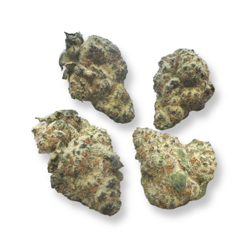 Dante's Wrath