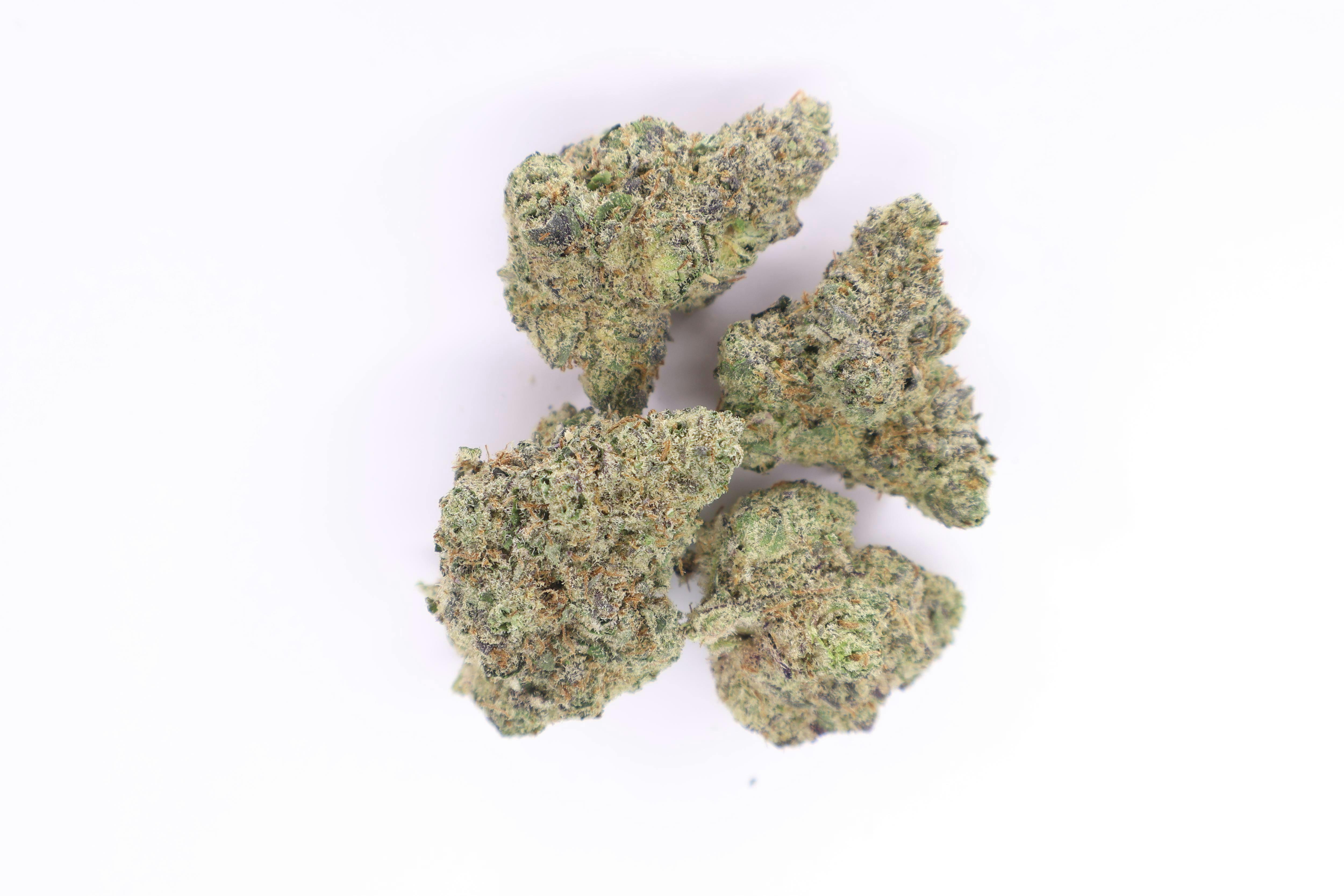 Common Citizen | Slapz | Deli-Style Flower
