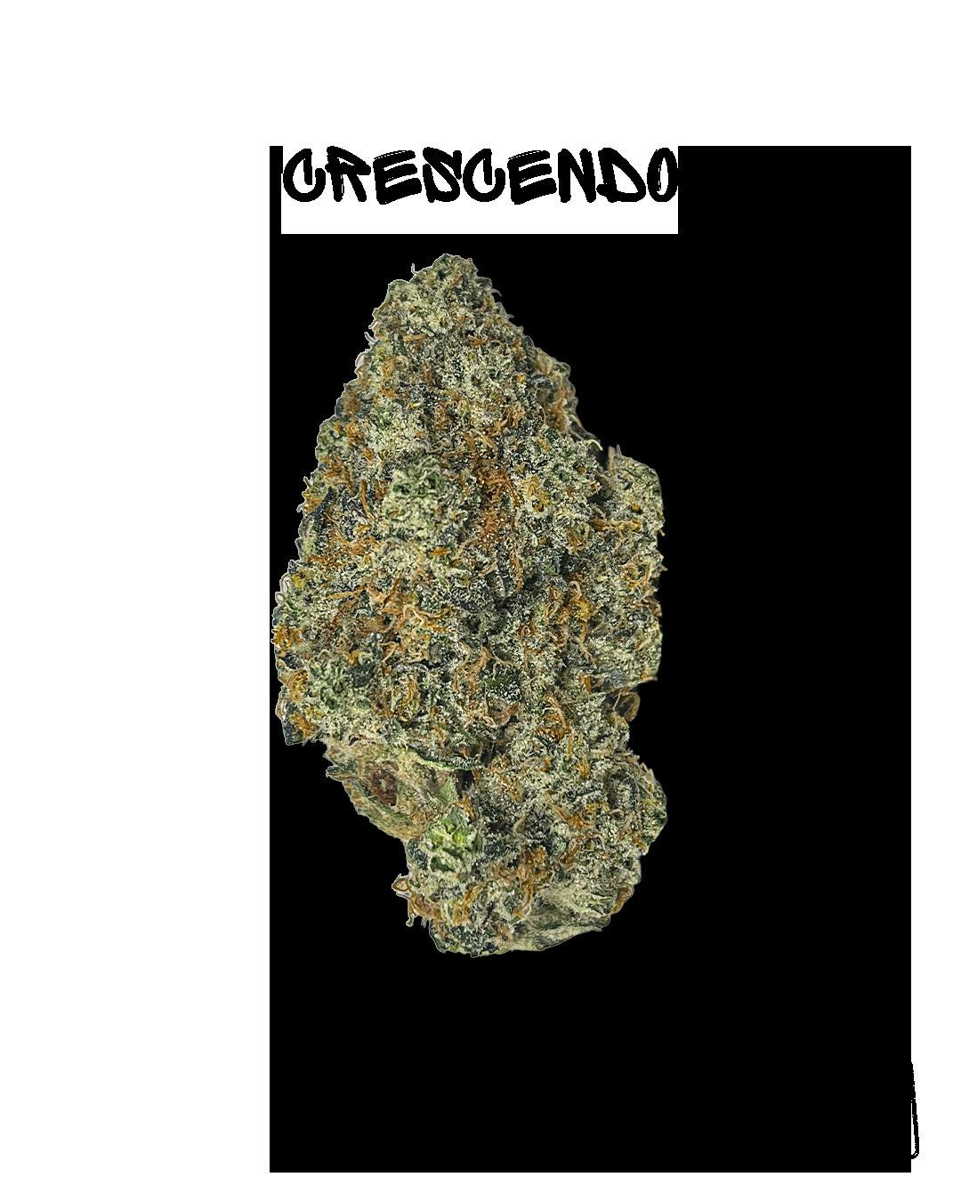 Guerilla Grown | Crescendo | 1G Pre-Roll