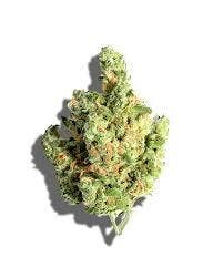 Common Citizen | Blue Dream | Deli-Style Flower (Smalls)