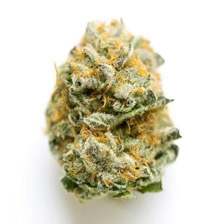 M and M | Jet Fuel Gelato | Deli-Style Flower