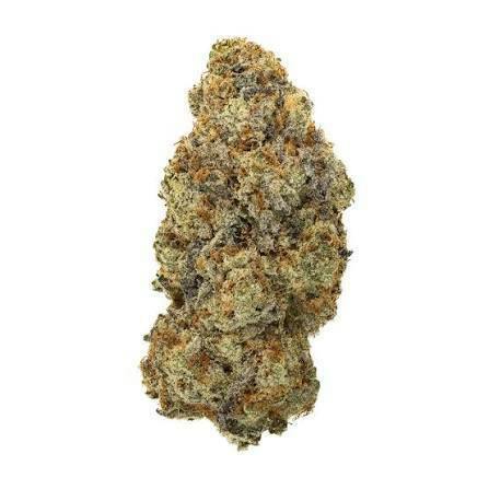 Trap House | Fire Spartan OG | Deli-Style Flower