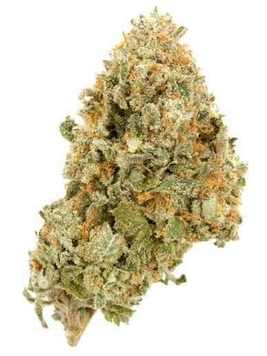 Rare Michigan Genetics | Cherry Tartz | Deli-Style Flower