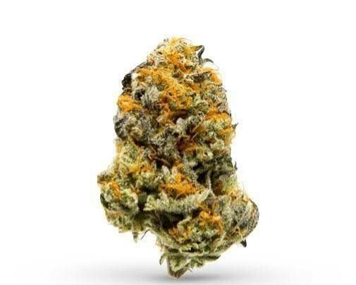 Rare Michigan Genetics | Gack OG | Deli-Style Flower