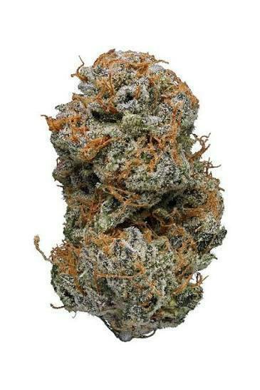 Rare Michigan Genetics | Jesus OG | Deli-Style Flower