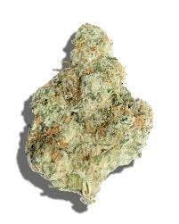 La Haze | Scotch & Soda | Deli-Style Flower