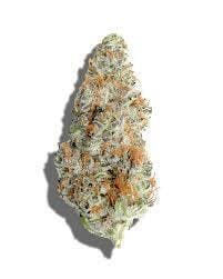 La Haze | Mind Melt | Deli-Style Flower