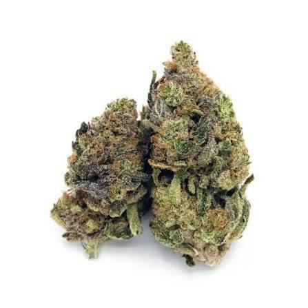 La Haze | Funk Bomb | Deli-Style Flower