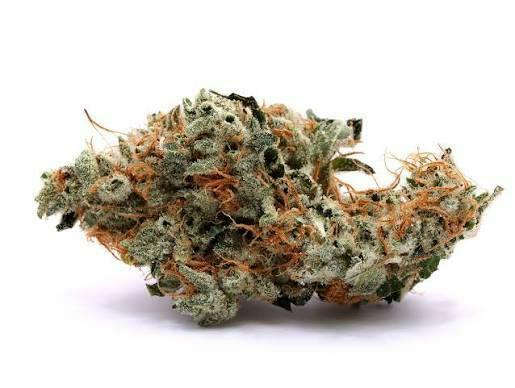 MEM Gardens | Kotas Kush | Deli-Style Flower