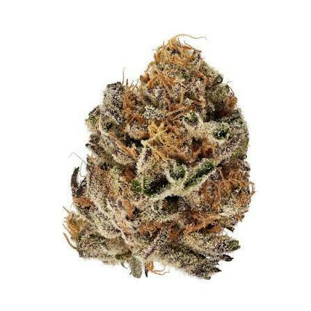 Harvesthaus | Sundae Driver | Deli-Style Flower