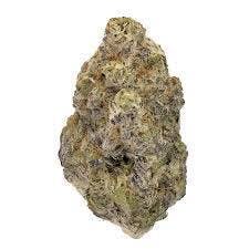 Harvesthaus | Blue Gotti | Deli-Style Flower
