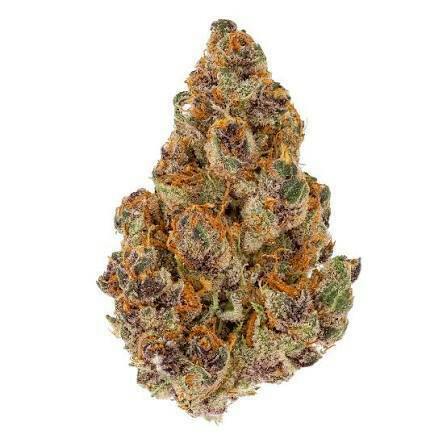 IPP | Tangerine Dream | Deli-Style Flower (Smalls)