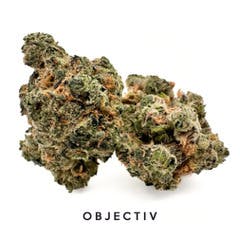 Objectiv | Gelato Punch | Deli-Style Flower