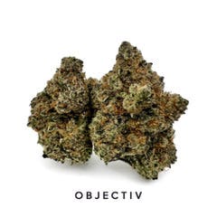 Objectiv | Blueberry Biscuit | Deli-Style Flower