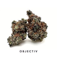 Objectiv | Animal Cookies | Deli-Style Flower