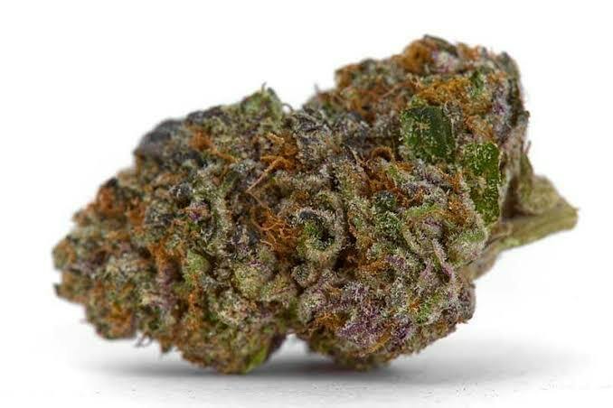 Northern Farms | Golden Girlz | Deli-Style Flower