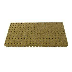 Grodan Rockwool 1in Starter Plugs 25/40