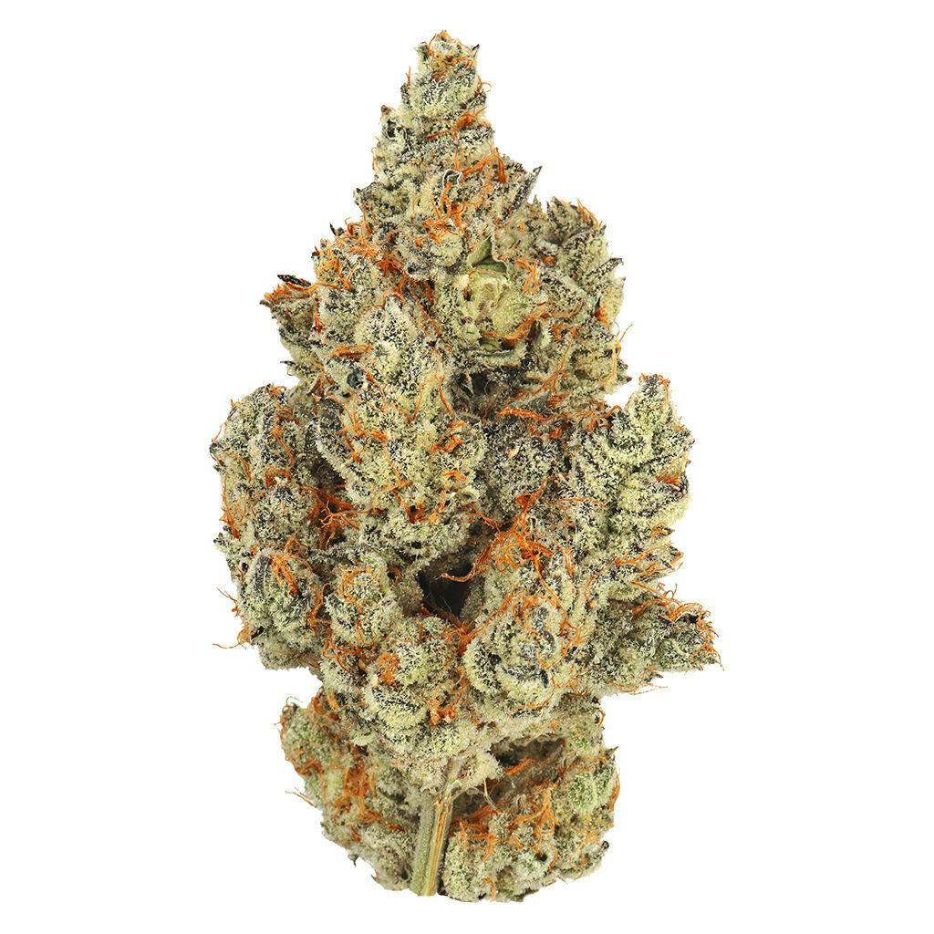 MSIKU - Strawberry Storm - Hybrid - 7g