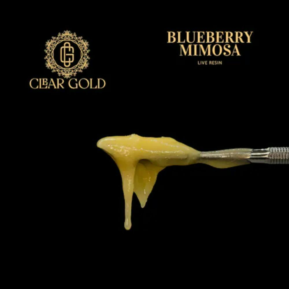 Blueberry Mimosa (H) | Live Resin at Comm Ave Canna: Recreational Cannabis Dispensary, Boston - Brookline MA