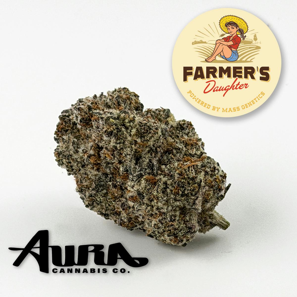 Farmers Daughter (SH) | Flower