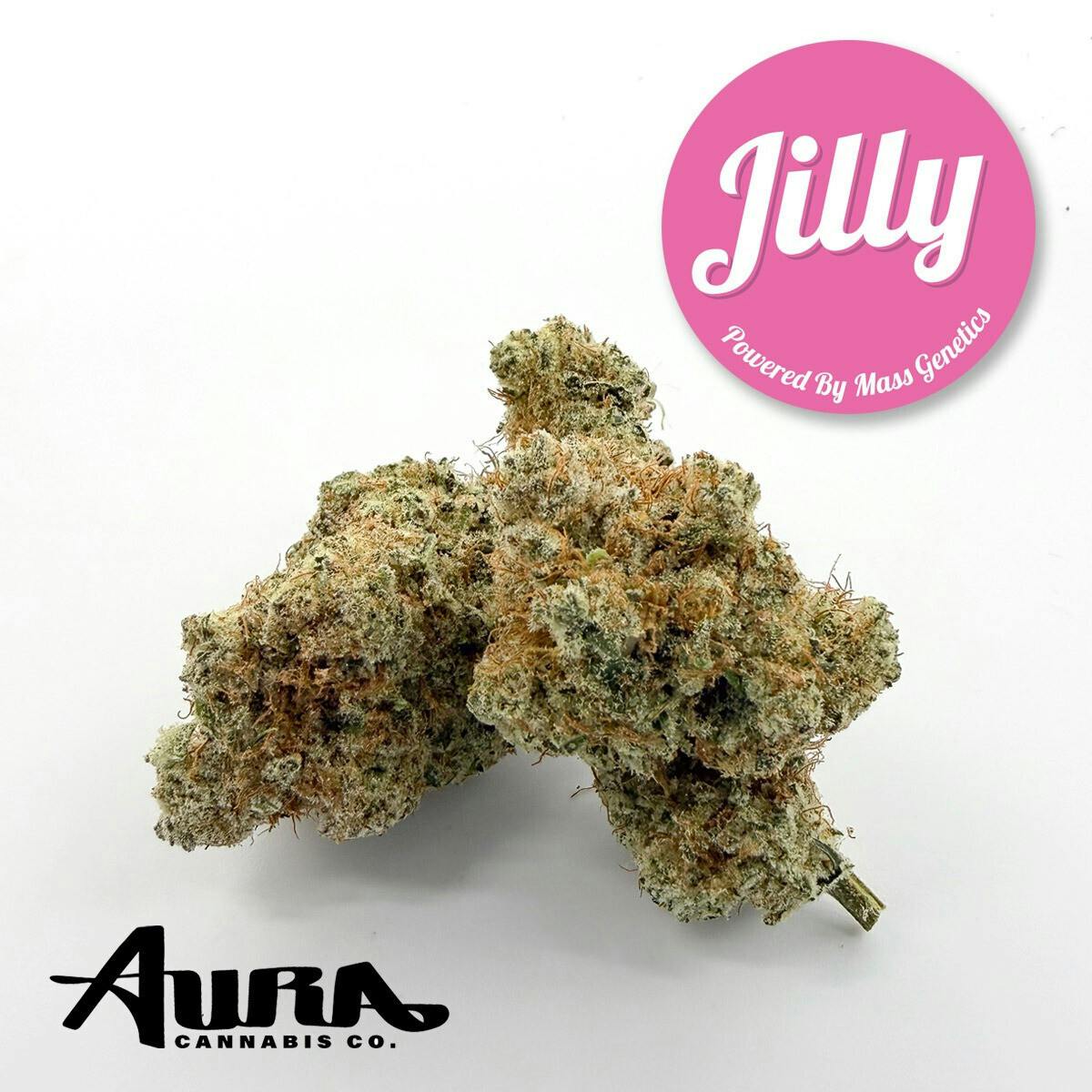 Jilly (SH) | Flower