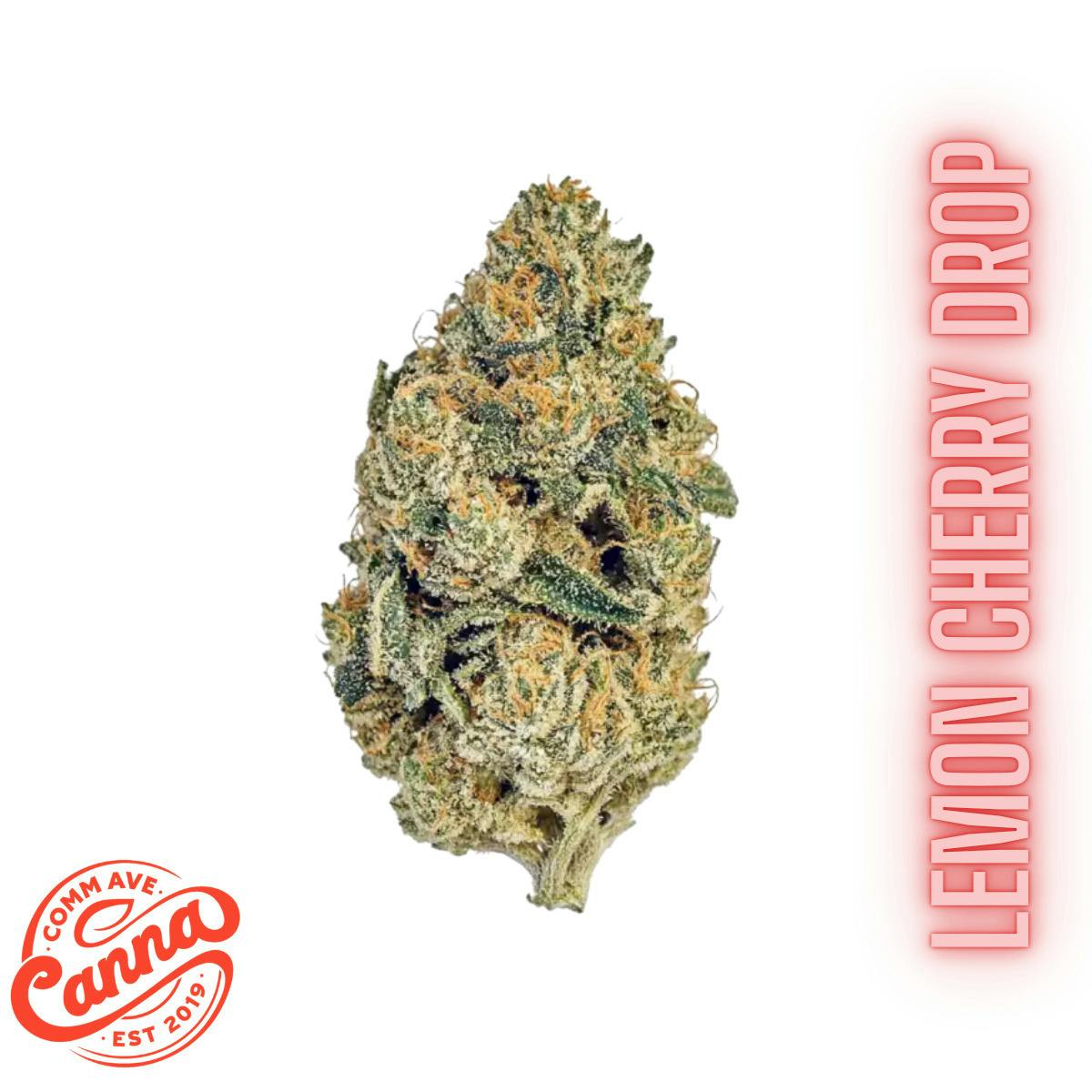 Lemon Cherry Drop (SH) | Small Buds cannabis product