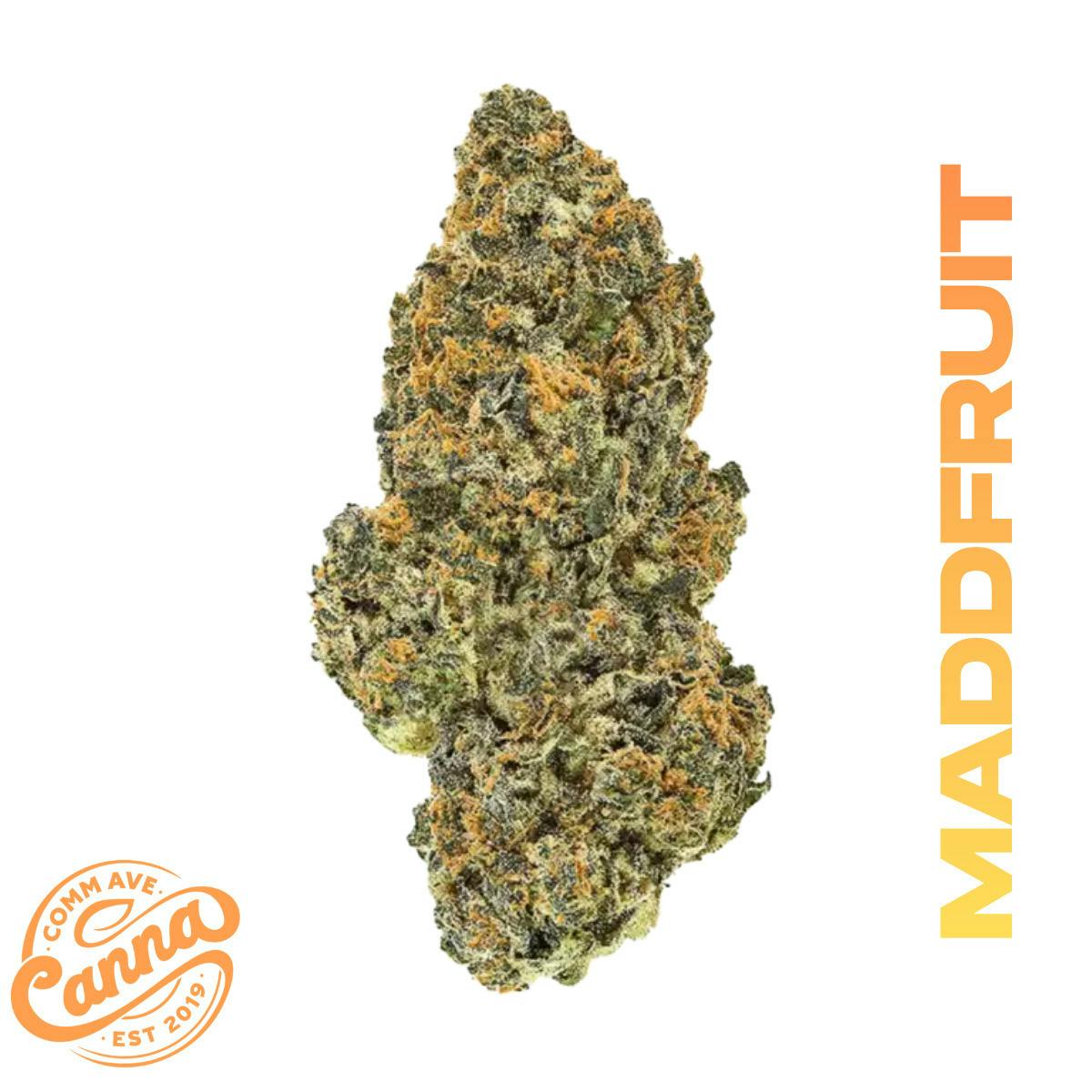 Madfruit (H) | Small Buds cannabis product