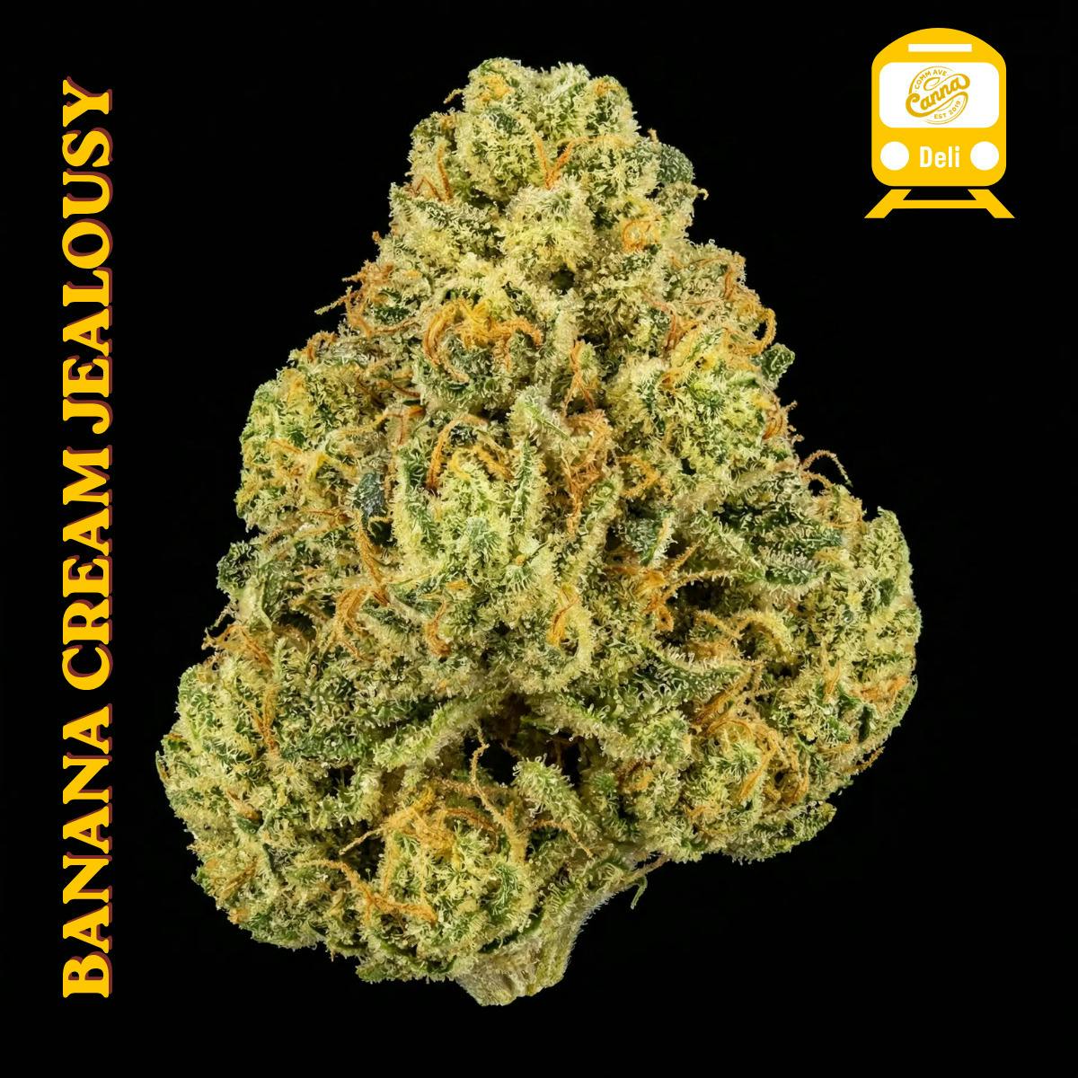 Banana Cream Jealousy (H) | Deli Flower at Comm Ave Canna: Recreational Cannabis Dispensary, Boston - Brookline MA