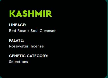 Green Dot 1g Pre-Roll - Kashmir