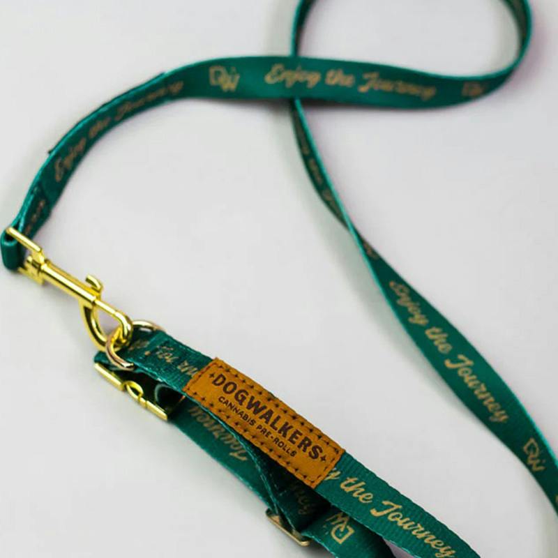 Leash & Collar [L] | DW - Leash & Collar Set