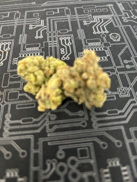 Giggle Gas $75 Oz.