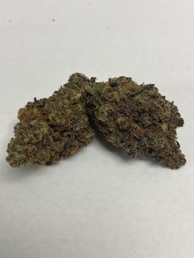 Living Soil - Mega Mind