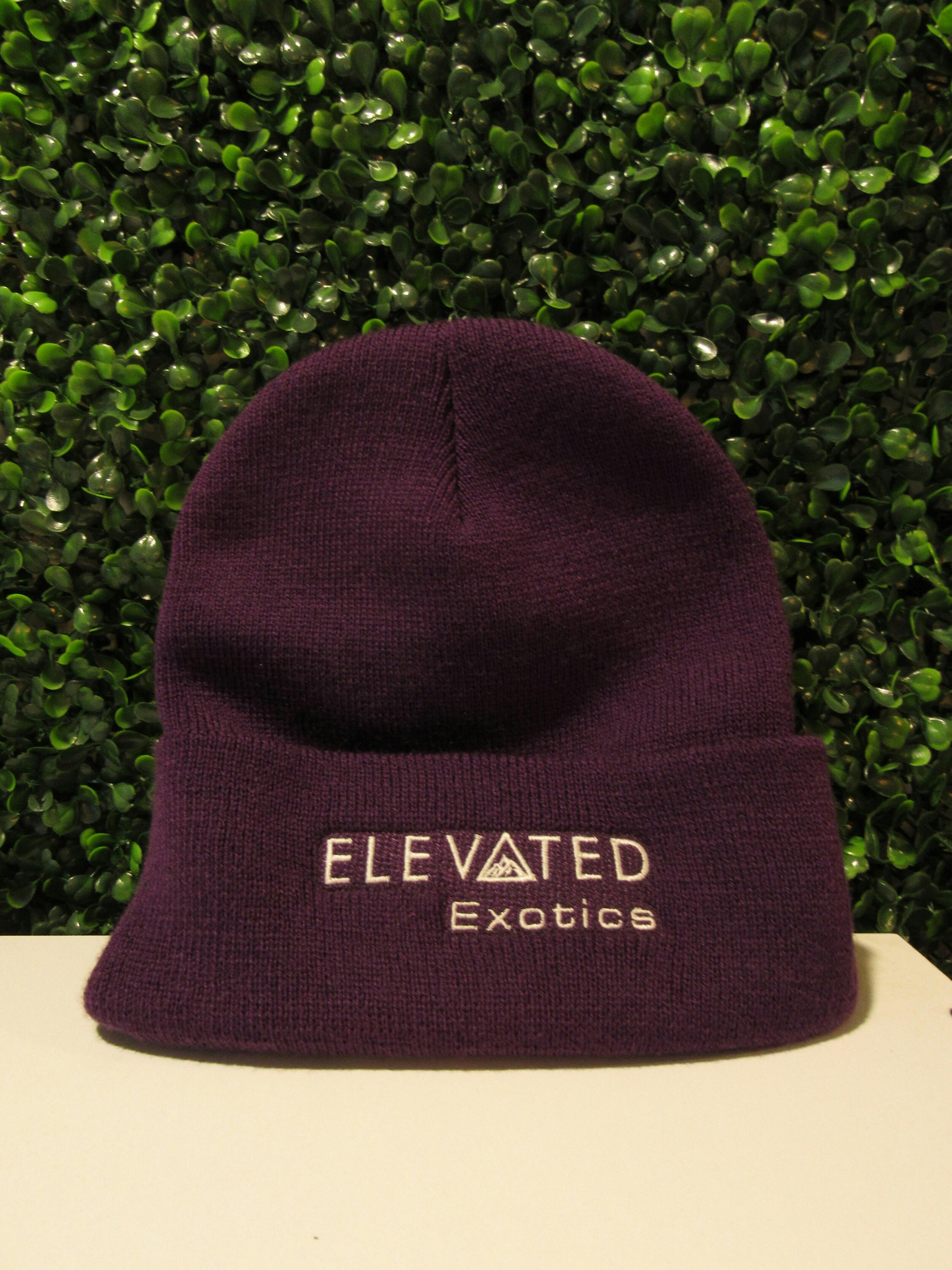 Elevated Exotics Beanie : Purple
