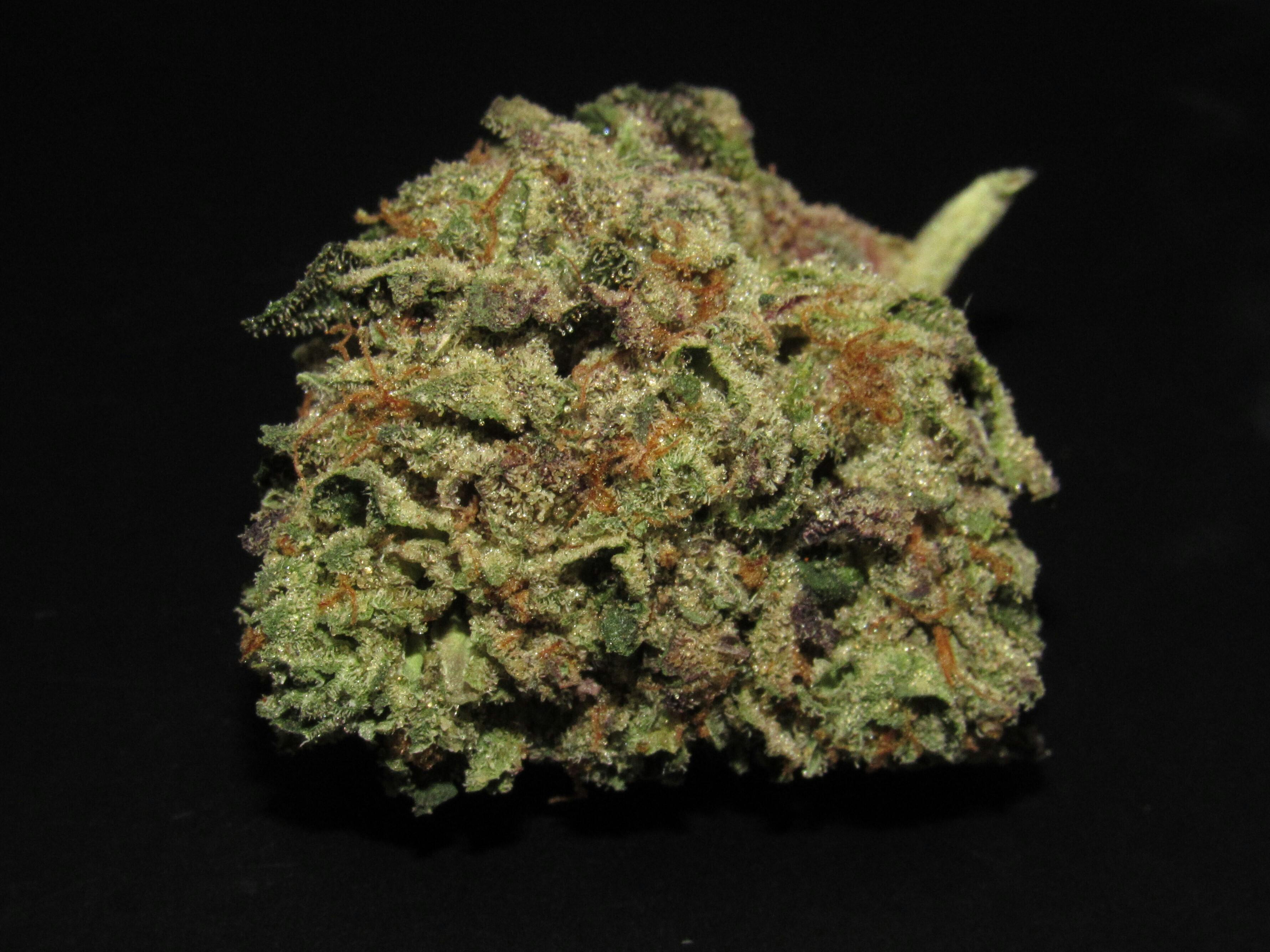 Vanilla Gorilla Bulk Flower | FAVRD | 6⭐