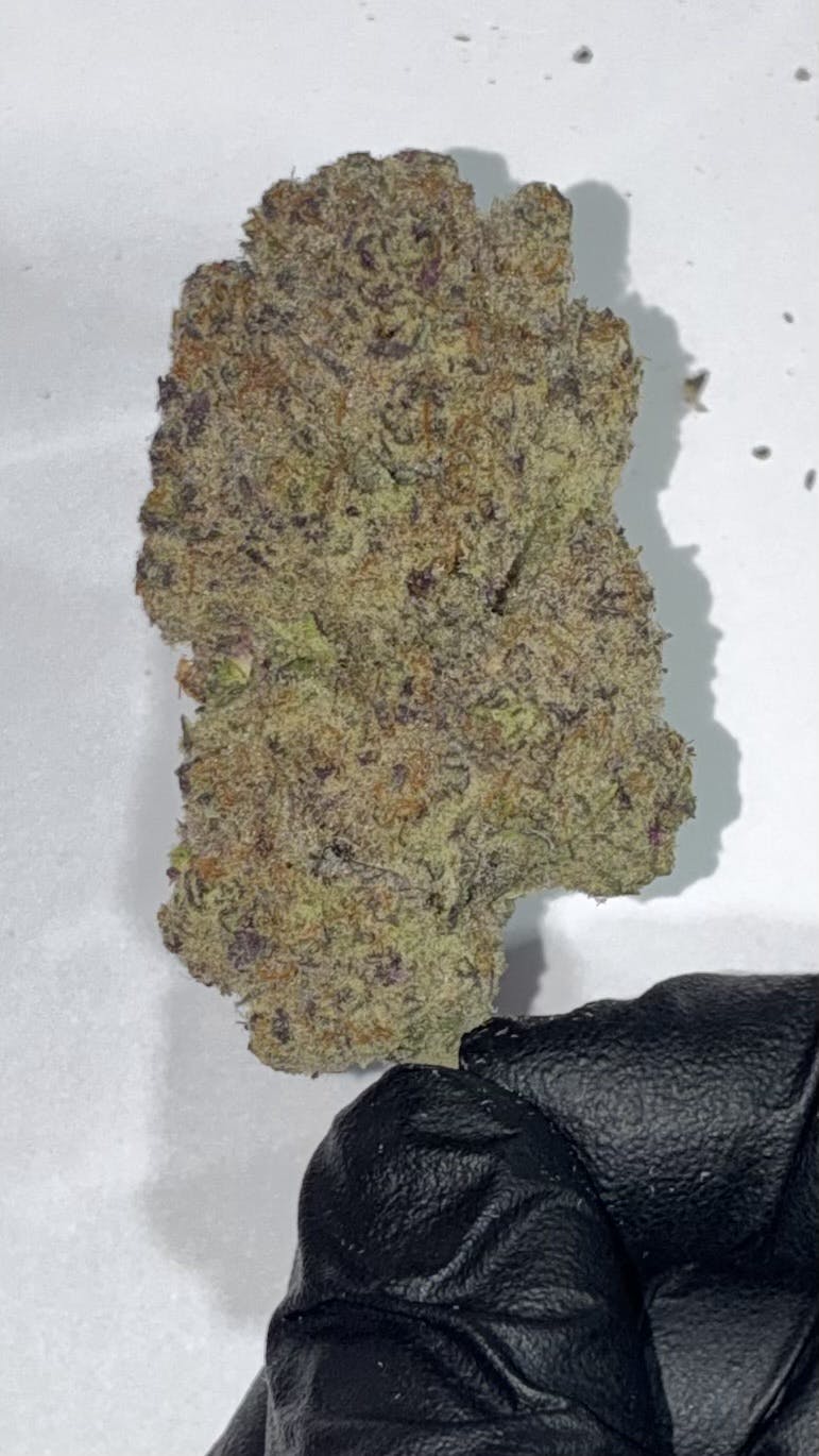 Bomb Pop | Dr.jc's Exotics cannabis product