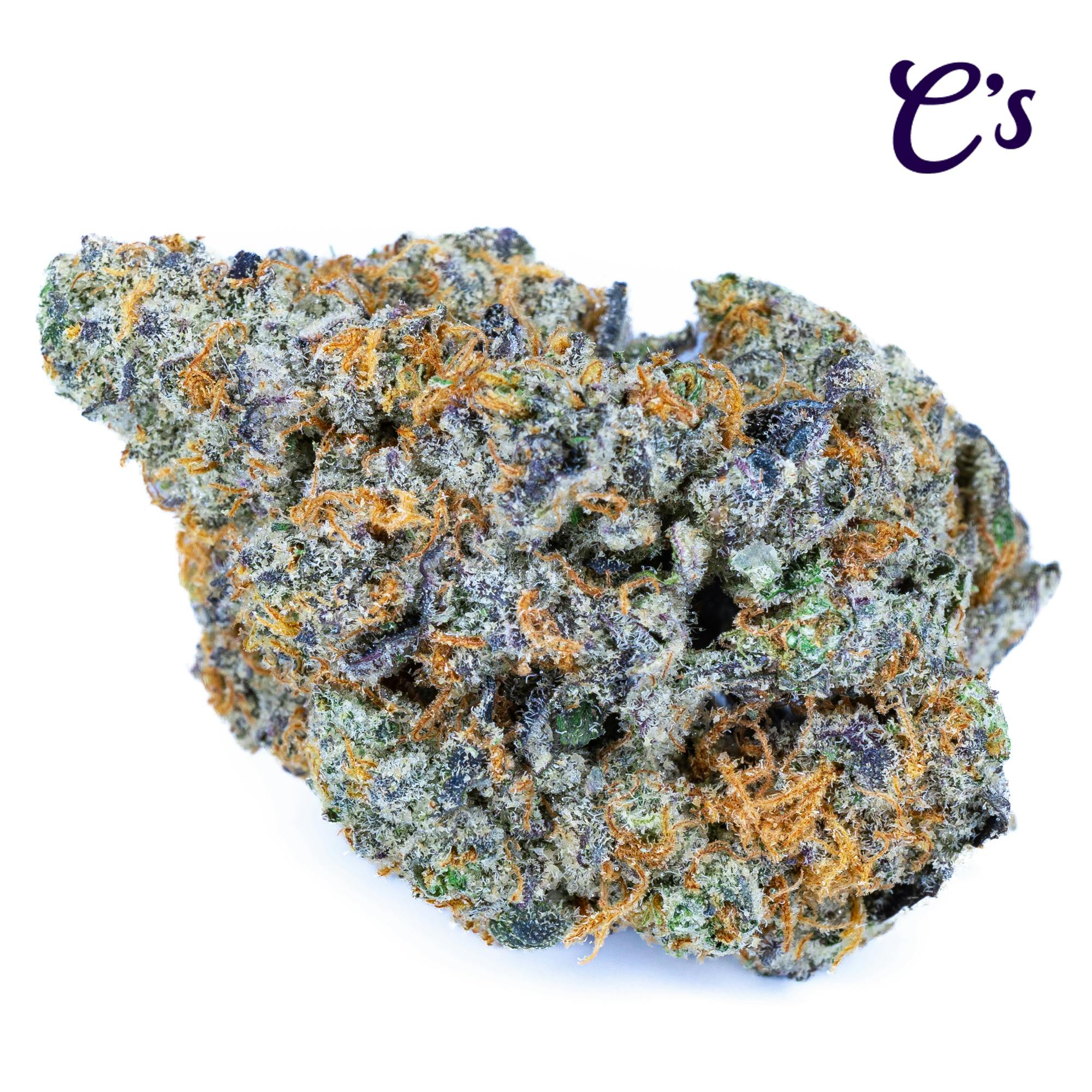 | Glitterbox | Hybrid | Bud
