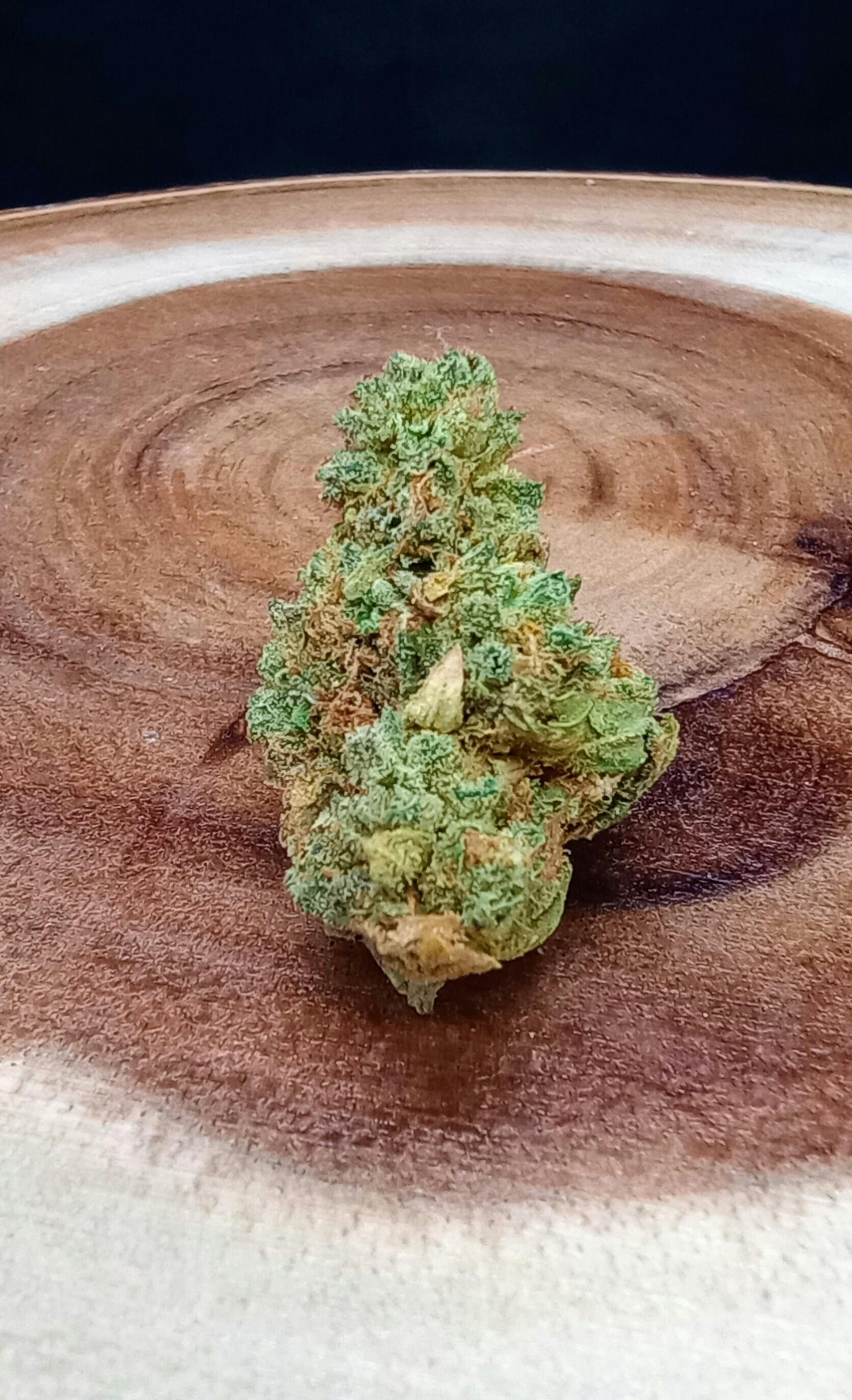White Truffle