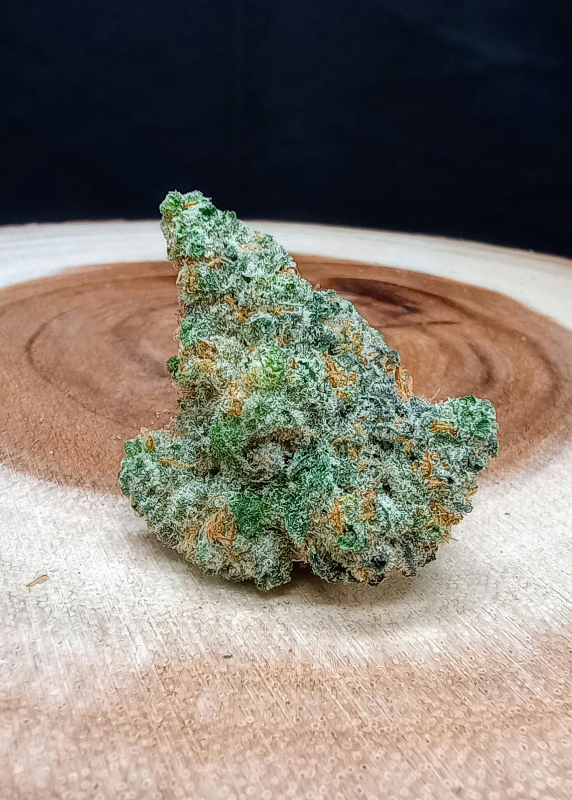 Black Skunk