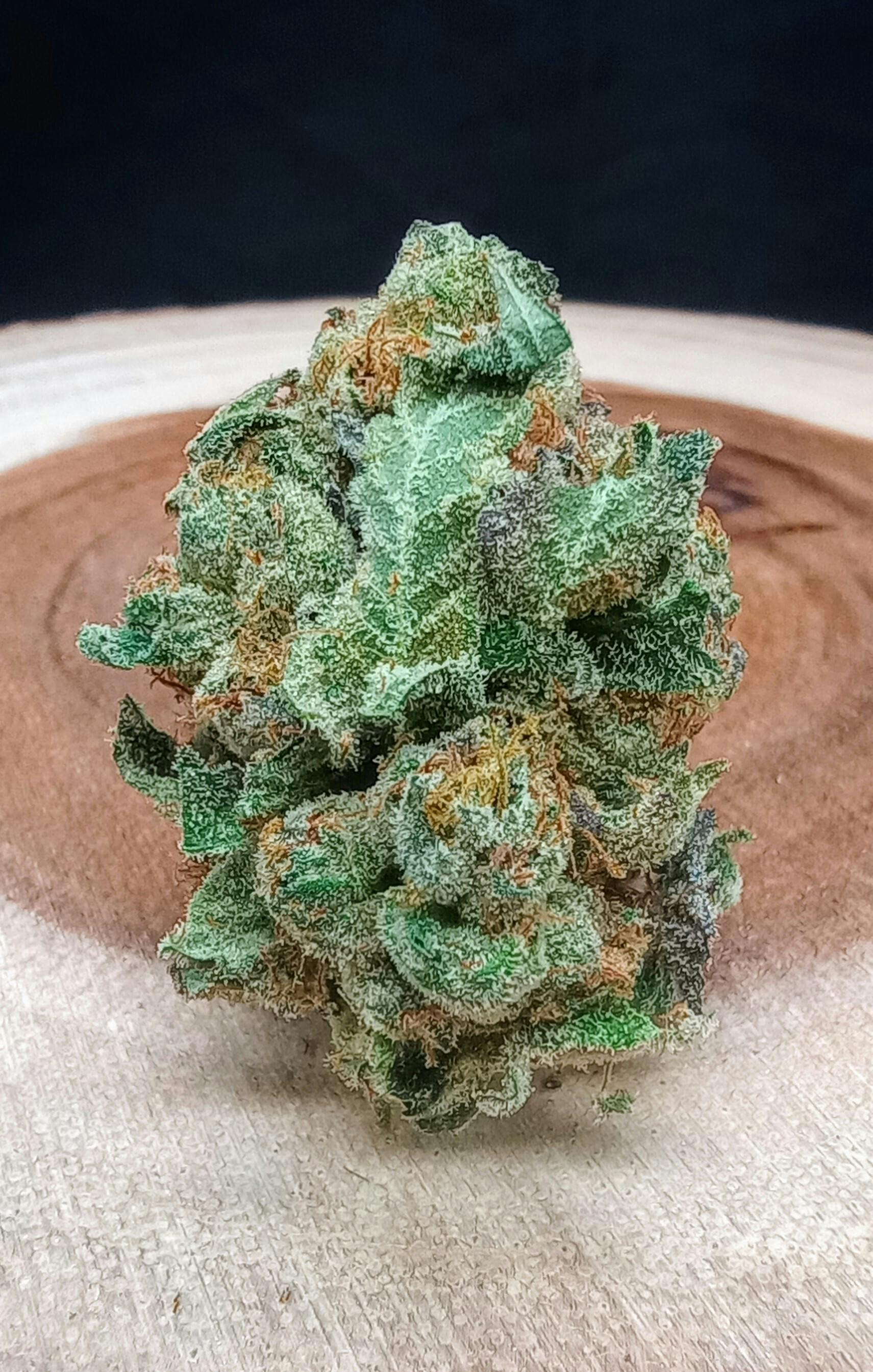 Jungle Pie