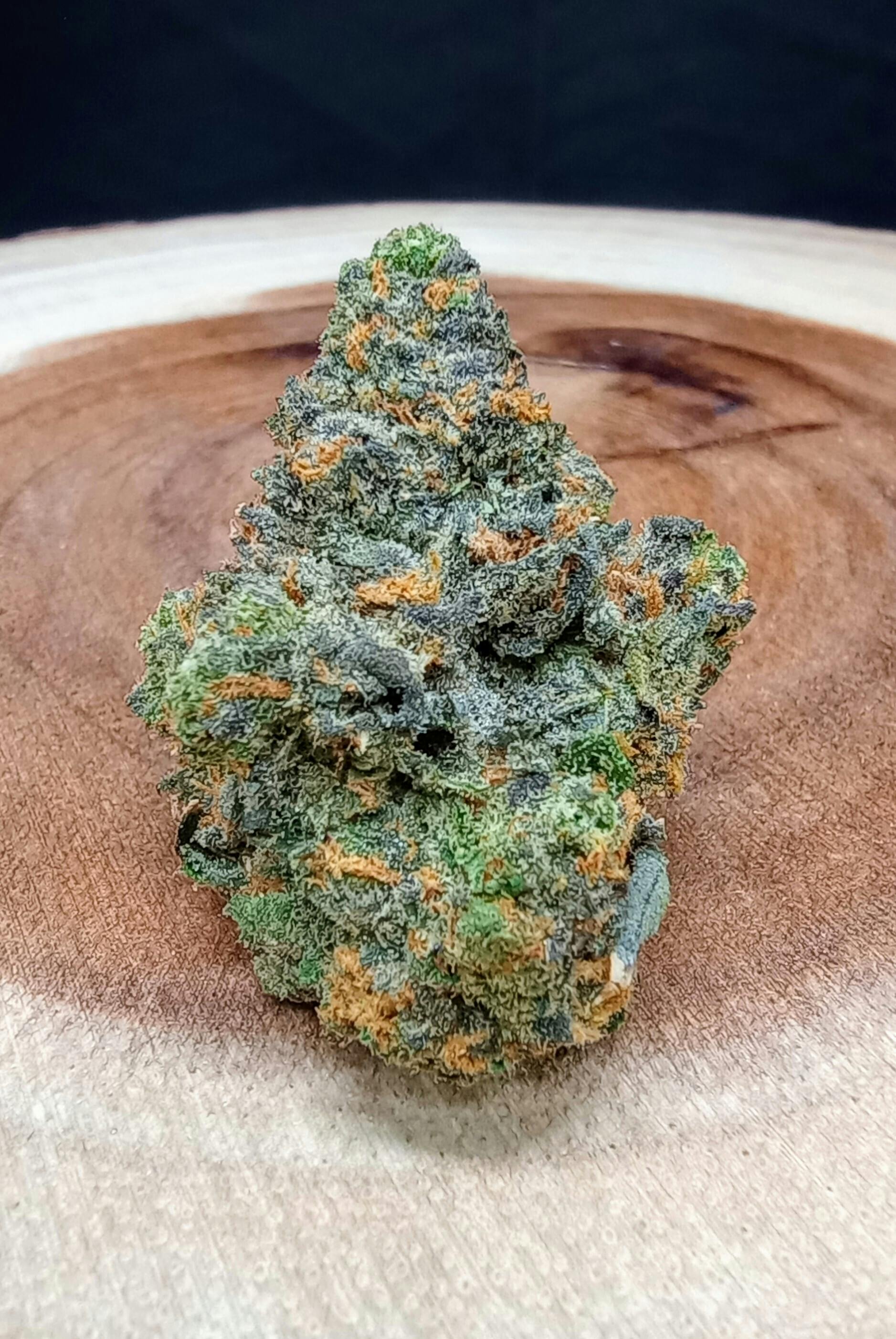 Permanent Marker at True North Dispensary